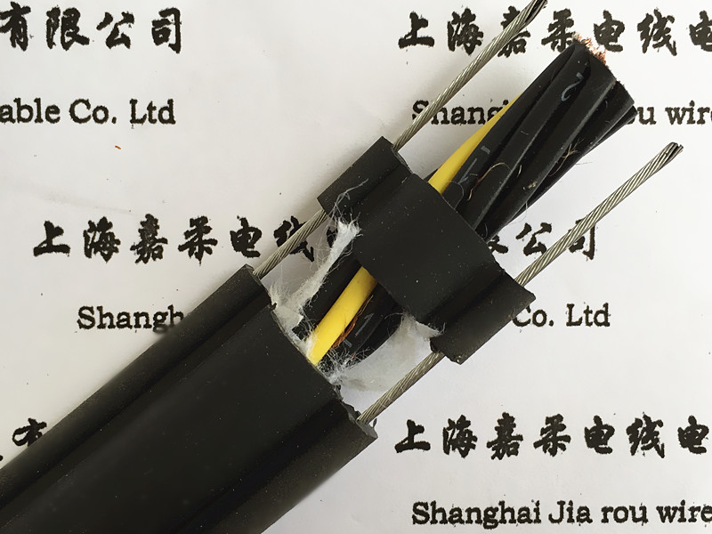 RVV2G双钢丝葫芦电缆
